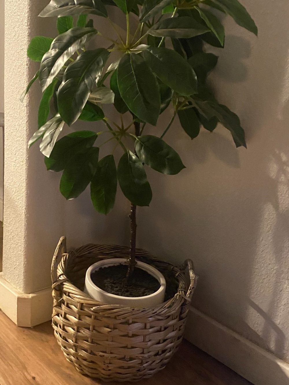 Faux Umbrellas Tree plant in Rattan Plant Basket with Handles